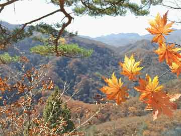 银川城南医院有没有打胎药（城南医院有哪些科室）